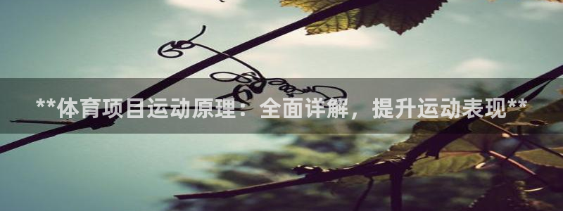 星欧娱乐扣款流程详解图片大全