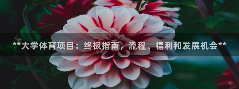 星欧娱乐的创始人背景故事