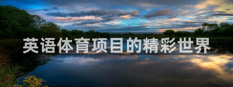 星欧娱乐平台测速线路怎么设置