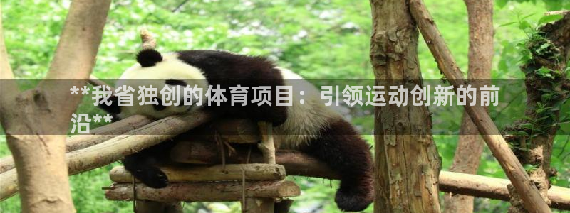 星娱乐是谁的公司