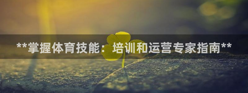 星欧娱乐扣款流程详解图高清