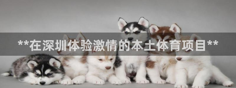 星欧娱乐的官方版本更新内容