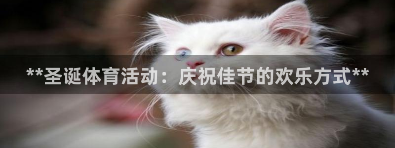 星欧娱乐平台怎么样啊安全吗