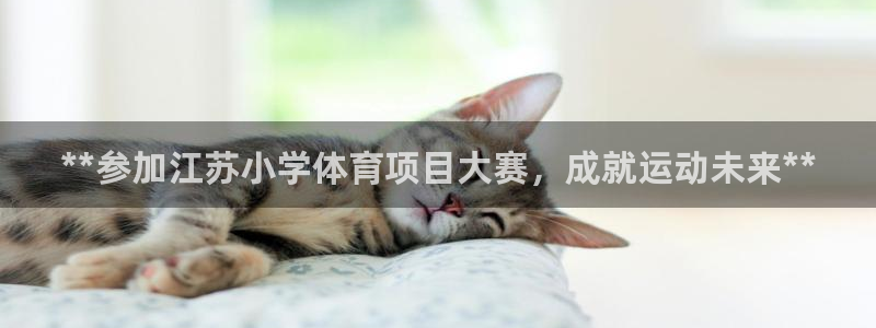 星欧娱乐挂机教程下载