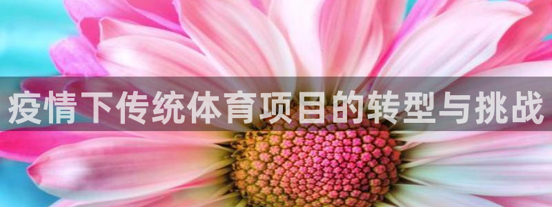 星欧娱乐退款流程详解