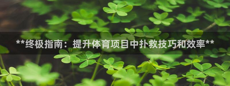 星娱乐是谁的公司