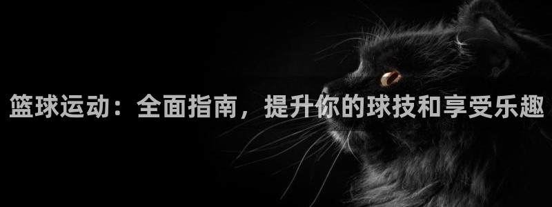 星澳娱乐公司地址