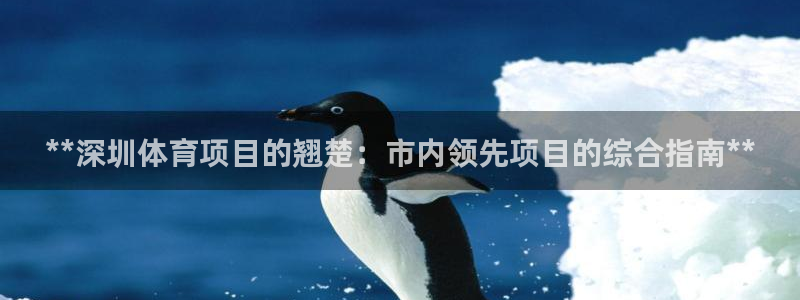 星欧娱乐彩票软件下载官网
