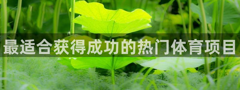 星欧娱乐官网下载安卓