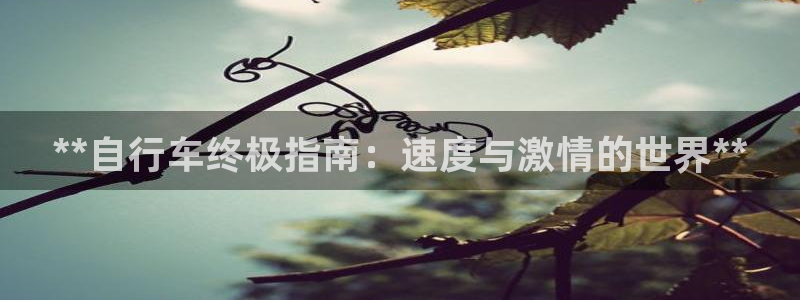 星欧娱乐最建议买的三个产品