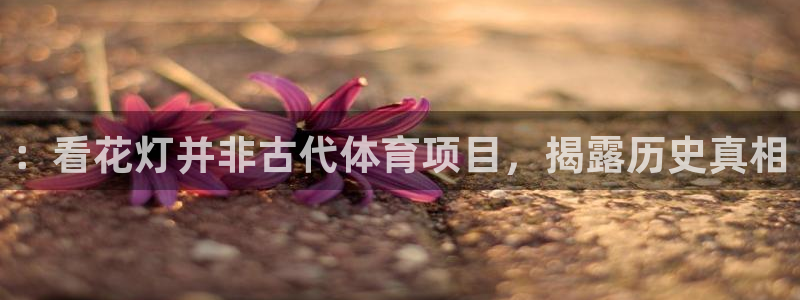 星奥娱乐旗下艺人