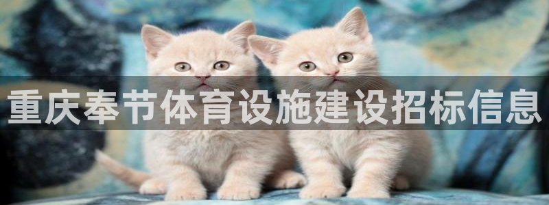 星欧娱乐银行卡怎么登录