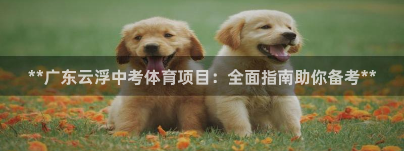 星欧娱乐法711.112扣费如何处理
