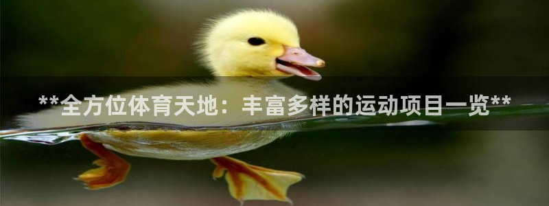 星欧娱乐挂机教程