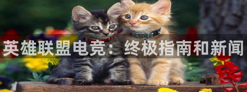 星欧娱乐平台怎么样知乎赚钱吗
