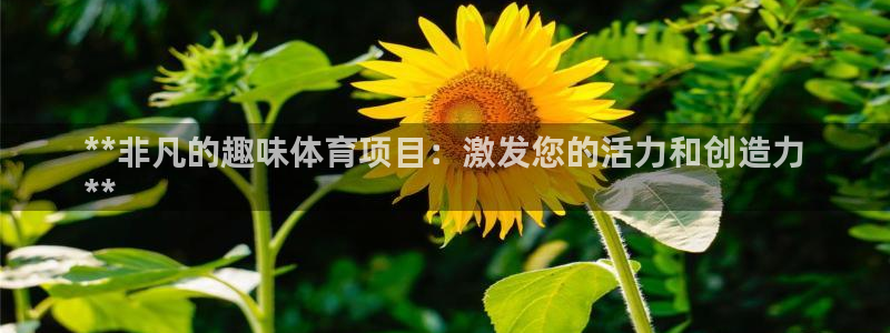星欧娱乐最建议买的三个产品是