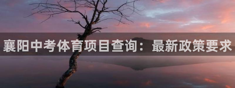 星欧娱乐公司怎么样