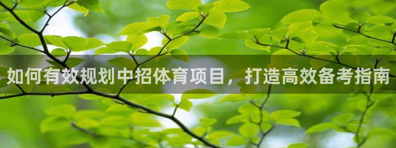 星欧娱乐官方客服联系方式电话