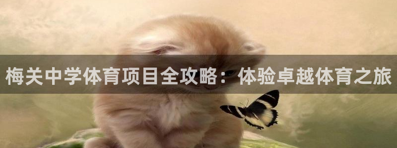 星欧娱乐是正规平台吗安全吗