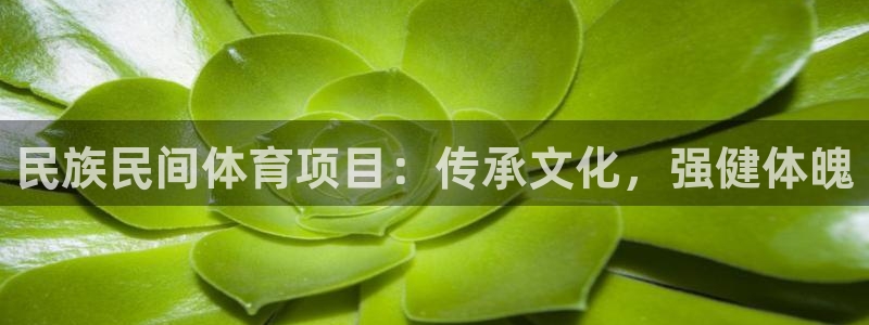 星欧娱乐扣款流程详解图片