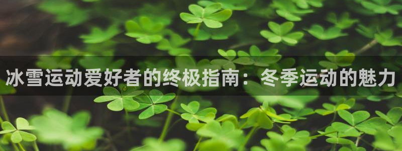 星欧娱乐还能玩吗
