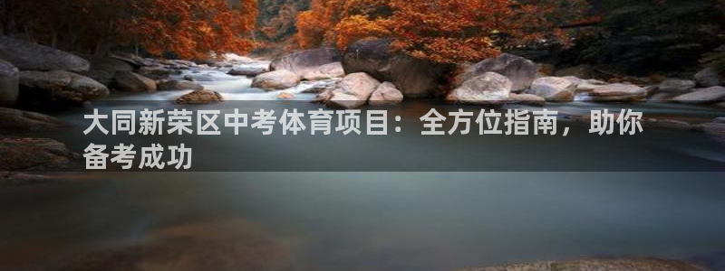 星欧娱乐联游戏评测