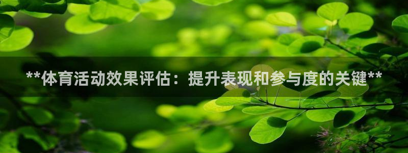 永韬星娱乐