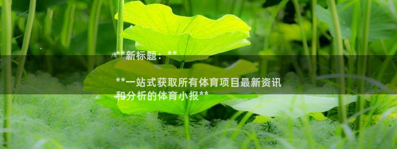 星欧娱乐公司创始人背景故事简介