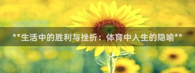 星欧娱乐扣款时间查询方法怎么查不到