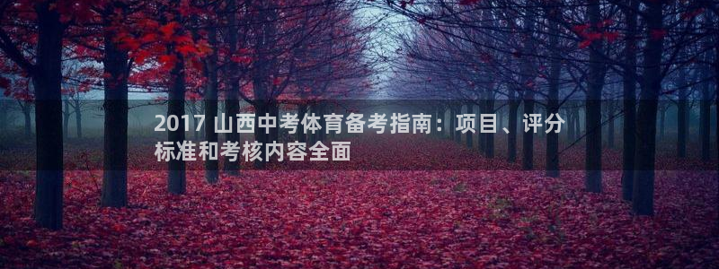 星欧娱乐的官方版本更新内容有哪些