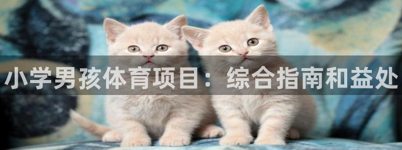 星欧娱乐挂机赚钱是真的吗