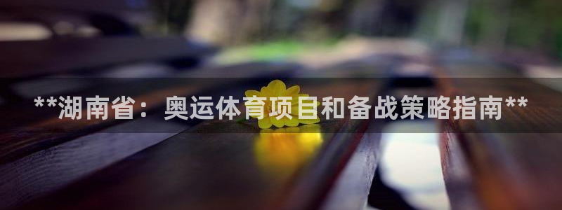 星欧娱乐联最新功能介绍