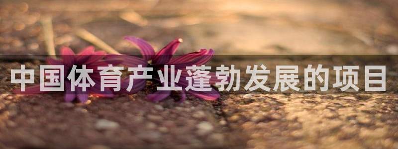 星欧娱乐测速软件下载