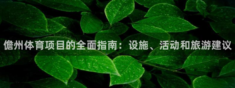 星娱乐online刘亦菲