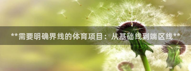 星欧娱乐扣款流程详解图片