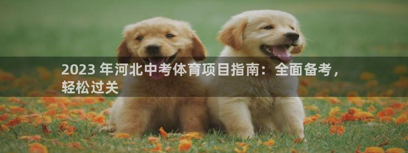 星欧娱乐扣款时间查询方法是什么呢