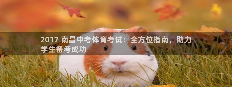 星欧娱乐属于什么档次的公司啊