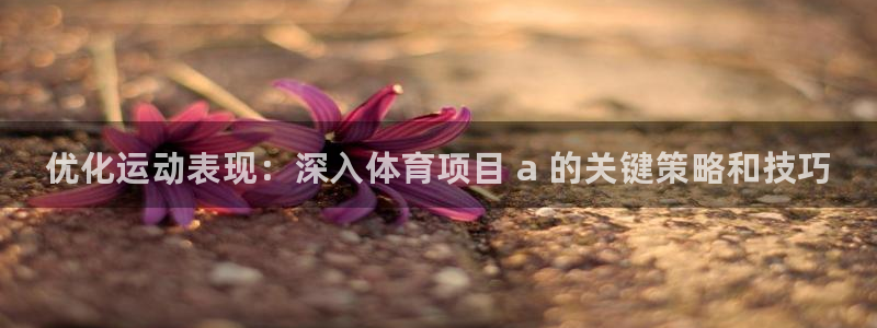 星欧娱乐属于什么档次的公司