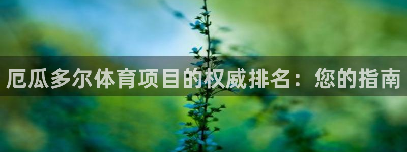 星欧娱乐属于什么档次的网站