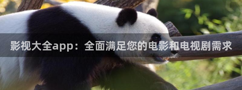 天龙影院免费观看：影视大全app：全面满足您的电影和电视剧需求