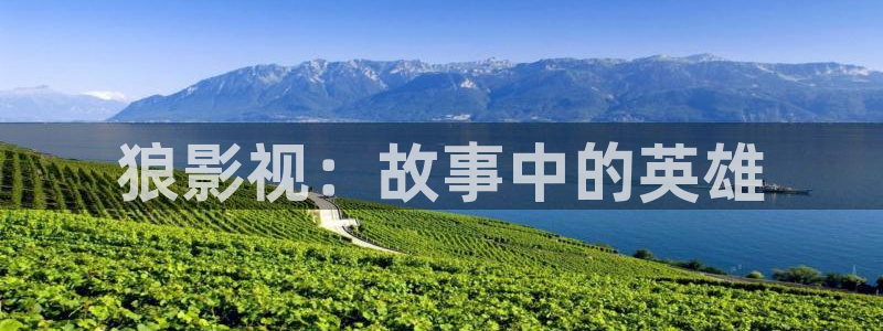 影院天龙：狼影视：故事中的英雄