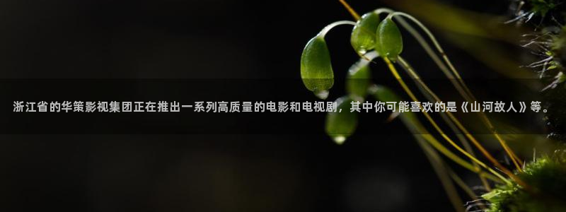 天龙远古高清影院：浙江省的华策影视集团正在推出一系列高质量的电影和电视剧，其中你可能喜欢的是《山河故人》等。