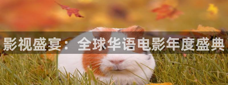 天龙部3d：影视盛宴：全球华语电影年度盛典