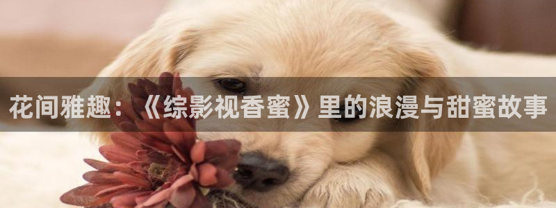 天龙远古高清影院：花间雅趣：《综影视香蜜》里的浪漫与甜蜜故事