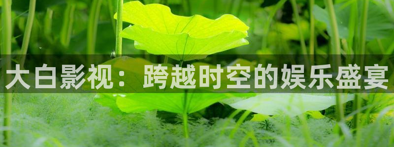 天龙远古影院在线观看：大白影视：跨越时空的娱乐盛宴