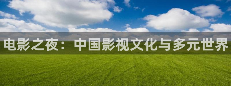 天龙天狼影院：电影之夜：中国影视文化与多元世界