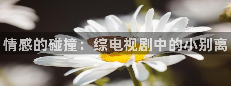 天龙影院手机免费：情感的碰撞：综电视剧中的小别离