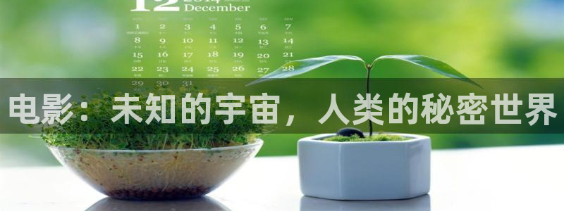 天龙影院2025：电影：未知的宇宙，人类的秘密世界