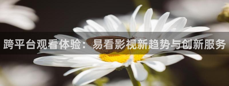 天龙影院电影：跨平台观看体验：易看影视新趋势与创新服务
