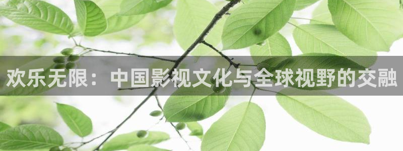 电视剧天龙八部全集在线观看免费：欢乐无限：中国影视文化与全球视野的交融